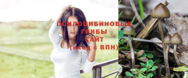 амф Арсеньев