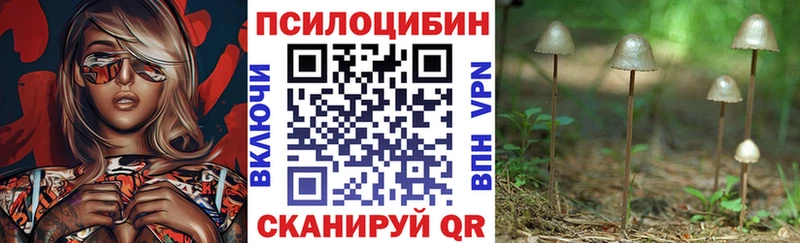 Купить где  Тюкалинск  Псилоцибиновые грибы прущие грибы 
